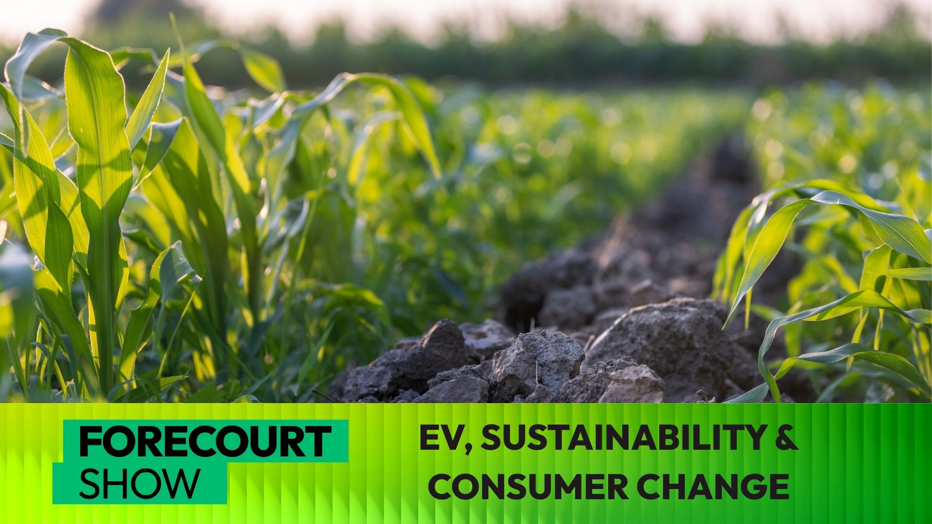 Fcs Video Forecourts In Transition Navigating%20ev Sustainability And Consumer Change